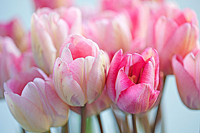 花季黄|春华秋实,花季黄韵寻梦之旅-2