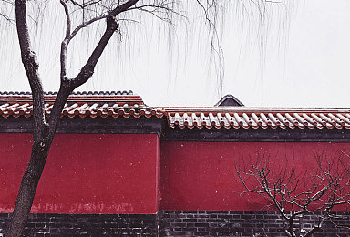 极端 针 极端 疼痛｜破译极致痛楚之谜：探寻极端针极端疼痛的医学奥秘-1