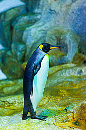 山村大炕乱睡老女人｜山村大炕风云录：文明觉醒之路-4