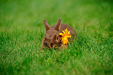 蓬莱屲山之东方之星E02｜科技之光耀蓬莱，东方之星E02开启仙境之旅-5