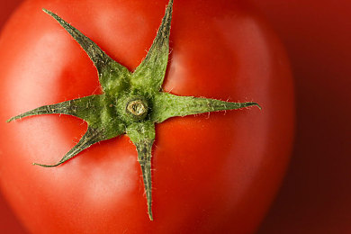 九九九九热｜炎夏热浪来袭，城市生活新挑战-5