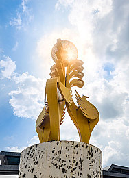 新月直播大全免费下载手机版｜海量直播盛宴，新月直播大全畅享游戏新体验-4