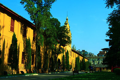 1980版板杨敏思五部曲｜解码时代印记：杨敏思五部曲，描绘人性光辉与暗影-1