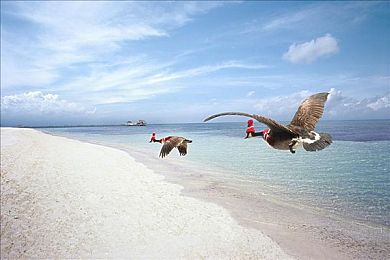 把 伸进女人的 打扑克｜守护隐私，和谐守护者-5