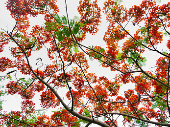 女同学裸体趴下光屁股挨打|校园暴力终结者:裸趴体罚事件警示录-4