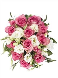 黄色app软件下载安装免费版2023｜揭秘2023：免费版黄色App下载攻略，体验五大优势，安全使用指南-2