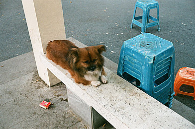 高跟鞋踩jiji蹂蹍榨精｜都市生活中的性别博弈与自我表达探索-2