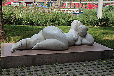 雏鸟Pro｜科技育英才，雏鸟Pro开启未来学习新纪元-4