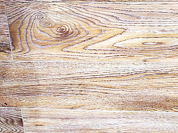 菠萝直播｜短视频新星“菠萝直播”：创新浪潮中的传播新纪元-3