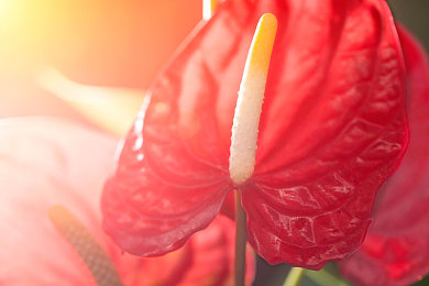 国产激情Av｜探索开放价值观的成人娱乐新领域-3