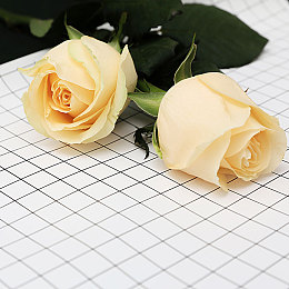 美女隐私网站｜揭秘隐私乐园：高清美女共享，视觉盛宴无限-4