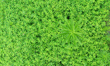 老师扒开让我 了一夜网站｜老师意外发现学生沉迷“一夜网站”，引发青少年网络安全教育热议-5