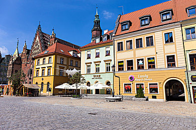 意大利野人泰山和珍妮｜意大利野人泰山与珍妮：丛林传奇，探险爱情，揭秘深山神秘生活-4