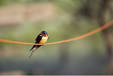 b站大全永不收费|弹幕天堂,B站坚守免费,青春内容无限畅享-2