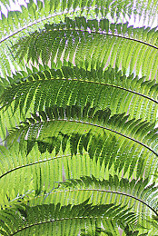 戴璐在婚房里录像回放｜网络隐私风暴：婚房录像事件拷问社会底线-3