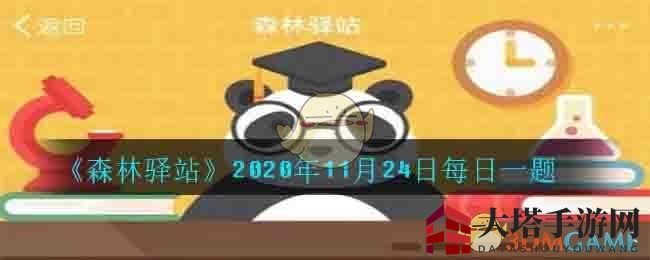 《森林驿站》揭秘：北极燕鸥迁徙路线超40000公里，刷新动物界最长迁徙记录