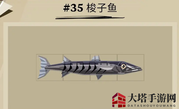 《渔帆暗涌》梭子鱼位置揭秘