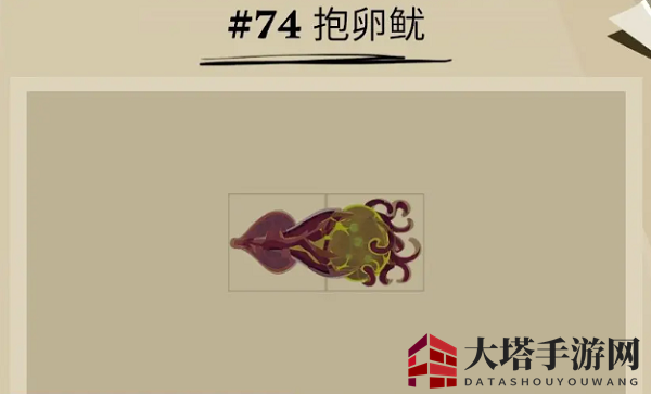 《渔帆暗涌》抱卵鱿藏身详解