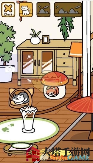 《猫咪后院》惊悚结局揭秘