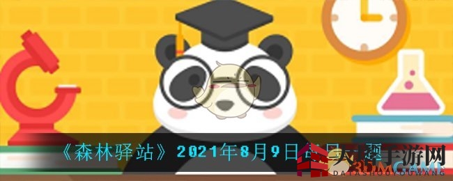 《森林驿站》揭秘：熊猫妈妈产子之谜，树洞岩洞成秘密基地