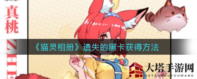 《猫灵相册》失踪的黑卡寻回秘籍