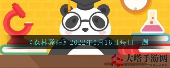 《森林驿站》2022年5月16日每日一题