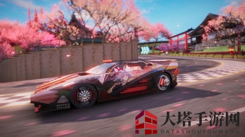《王牌竞速》闪灵痛车涂装我是猫一览