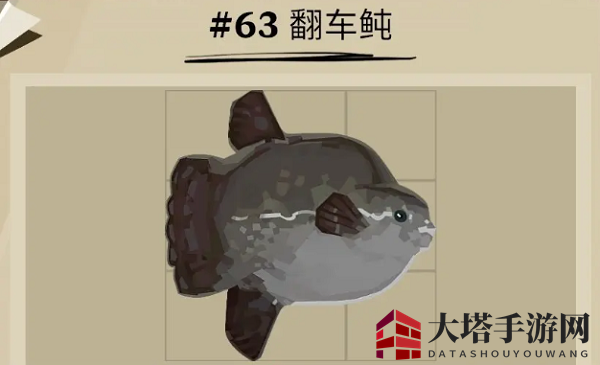 《渔帆暗涌》翻车鲀位置揭秘