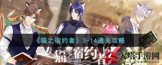 《猫之宿约者》3-14关攻略揭秘：解锁特别结局与CG奖励