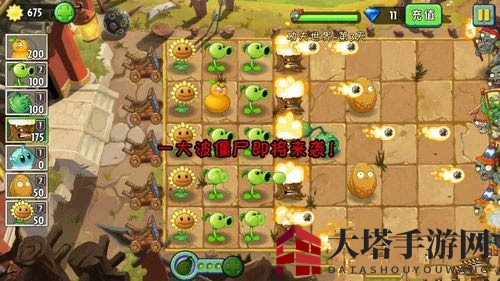 《植物大战僵尸2》功夫世界第三关攻略