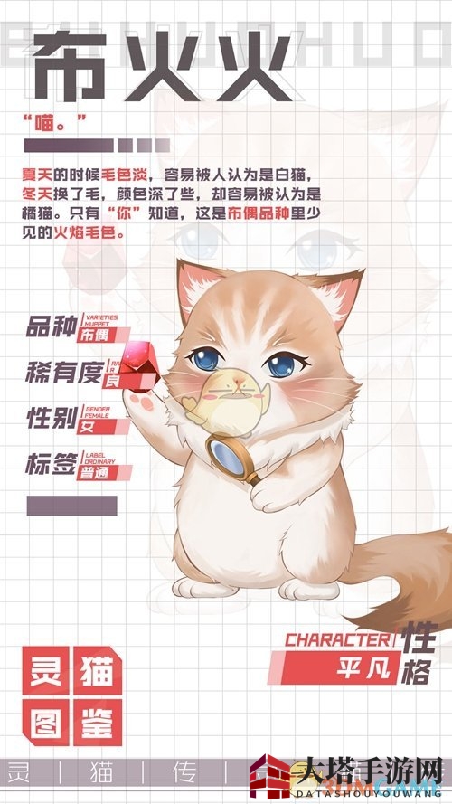 《灵猫传》布火火图鉴一览