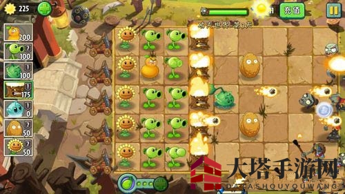 《植物大战僵尸2》功夫世界第三关攻略
