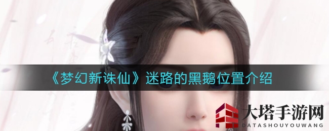 《梦幻新诛仙》神秘黑鹅寻踪攻略：轻松解锁任务，探险之旅等你来！