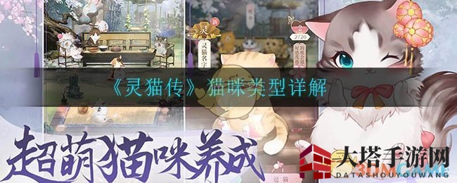《灵猫传》猫咪类型详解