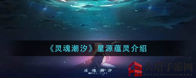 灵魂潮汐揭秘：星源灵蕴辅助神力大解析