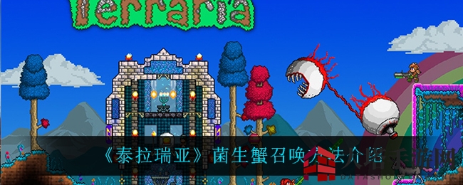 《泰拉瑞亚》菌生蟹召唤方法介绍