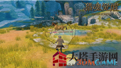 《猎魂觉醒》驯马攻略：揭秘龙涎香获取之道，轻松驾驭战马
