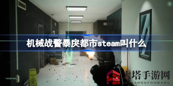 《机械战警：暴戾都市》英文名揭秘，探索赛博警察正义之旅