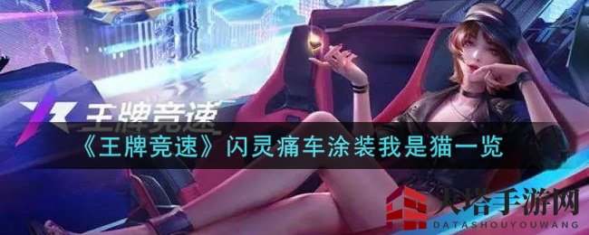 《王牌竞速》闪灵痛车涂装我是猫一览