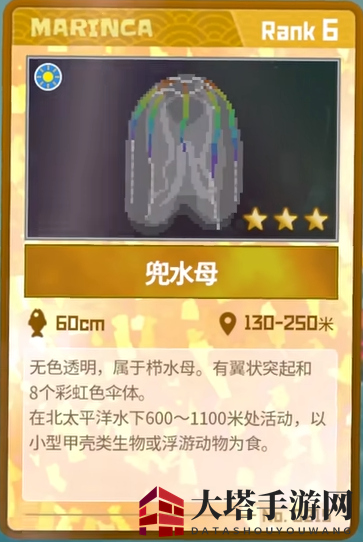 《潜水员戴夫》兜水母抓捕攻略