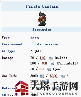 《泰拉瑞亚》手机版海盗船长介绍