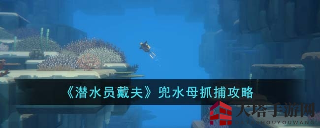 《潜水员戴夫》兜水母抓捕攻略