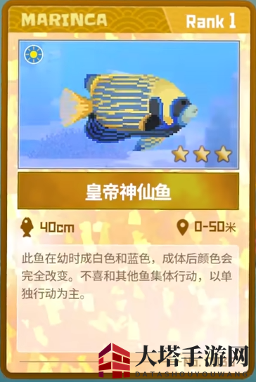 《潜水员戴夫》皇帝神仙鱼抓捕攻略