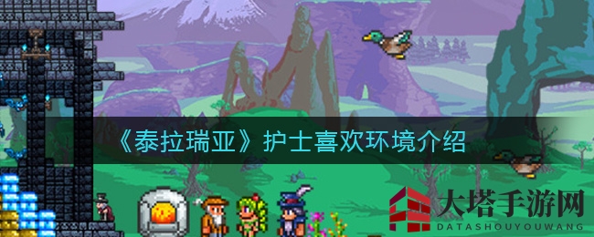 《泰拉瑞亚》护士偏爱环境大揭秘