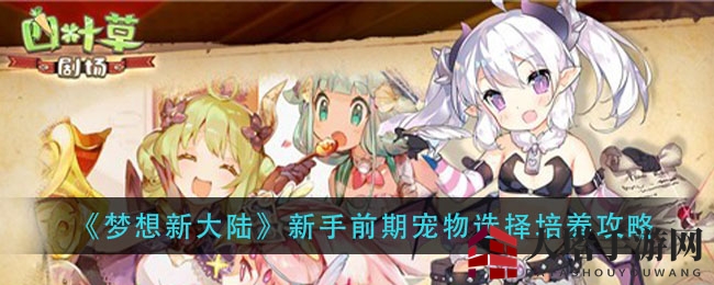 《梦想新大陆》新手前期宠物选择培养攻略