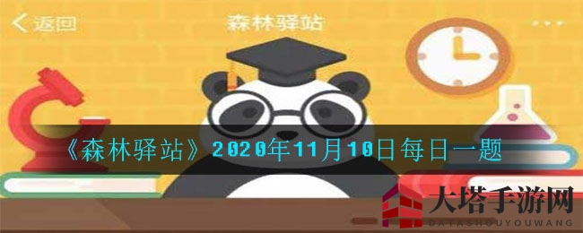 《森林驿站》2020年11月10日每日一题