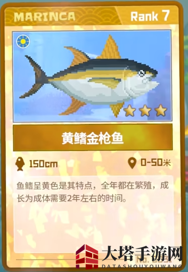 《潜水员戴夫》黄鳍金枪鱼抓捕攻略