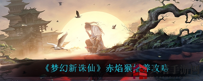 《梦幻新诛仙》赤焰猴养成指南