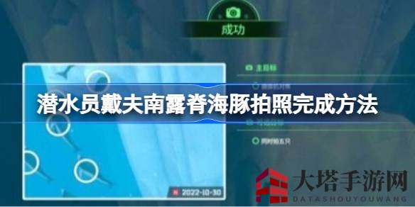 萌鸽奇旅：冰河秘境，捕捉南露脊海豚绝美瞬间