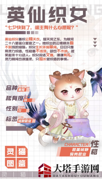 《灵猫传》英仙织女介绍